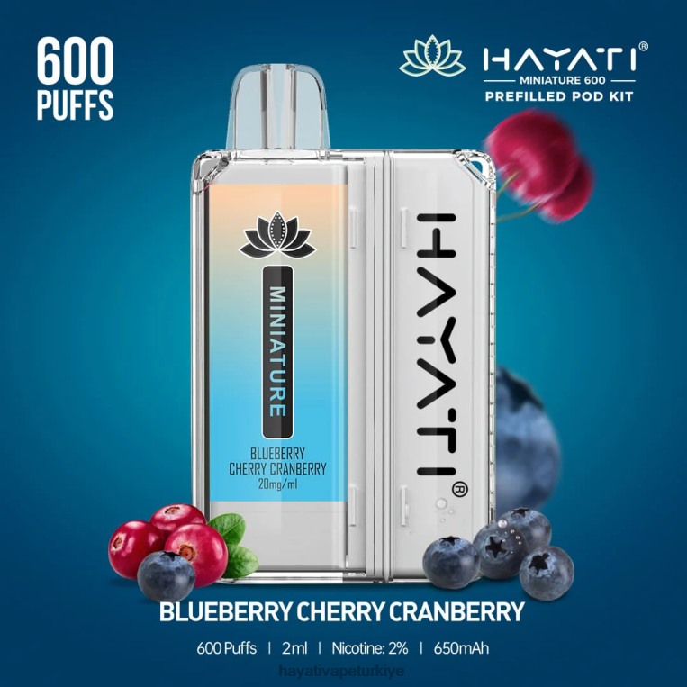 Hayati Miniature 600 kapsül kiti 28JJZ31 - Hayati vape Türkiye - yaban mersini kiraz kızılcık