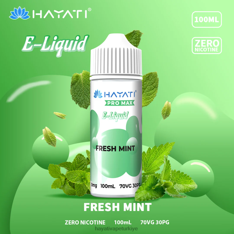 Hayati Pro Max güzel tuzlar 28JJZ255 - Hayati flavour list - taze nane