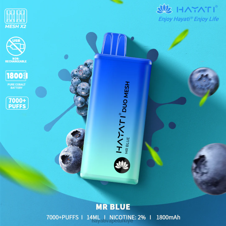 Hayati Duo Mesh tek kullanımlık 28JJZ174 - Hayati flavours Türkiye - Bay mavi