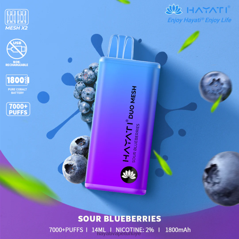 Hayati Duo Mesh tek kullanımlık 28JJZ189 - Hayati vapes wholesale - ekşi yaban mersini