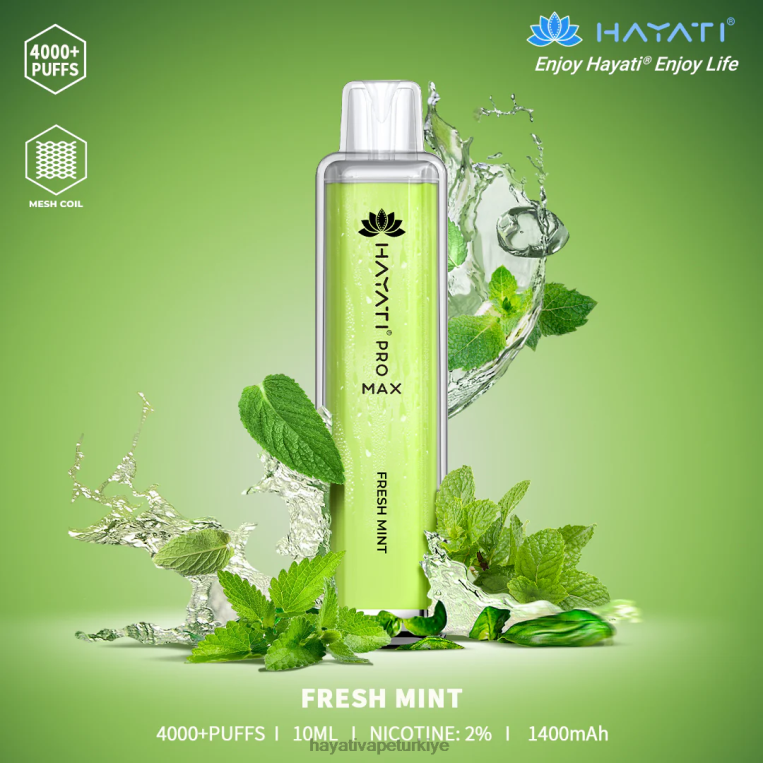 Hayati Pro Max tek kullanımlık 28JJZ104 - Hayati flavours Türkiye - taze nane