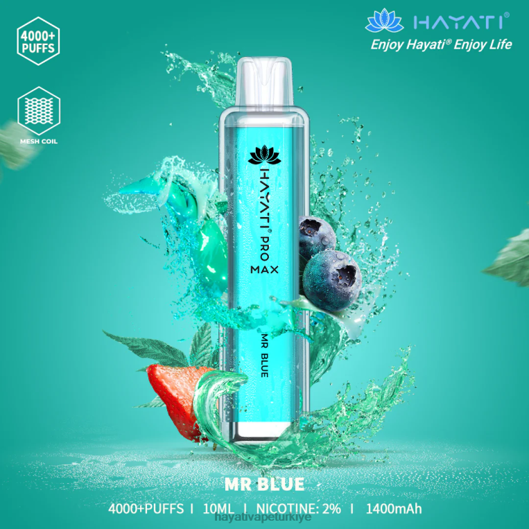 Hayati Pro Max tek kullanımlık 28JJZ113 - Hayati store Türkiye - Bay mavi