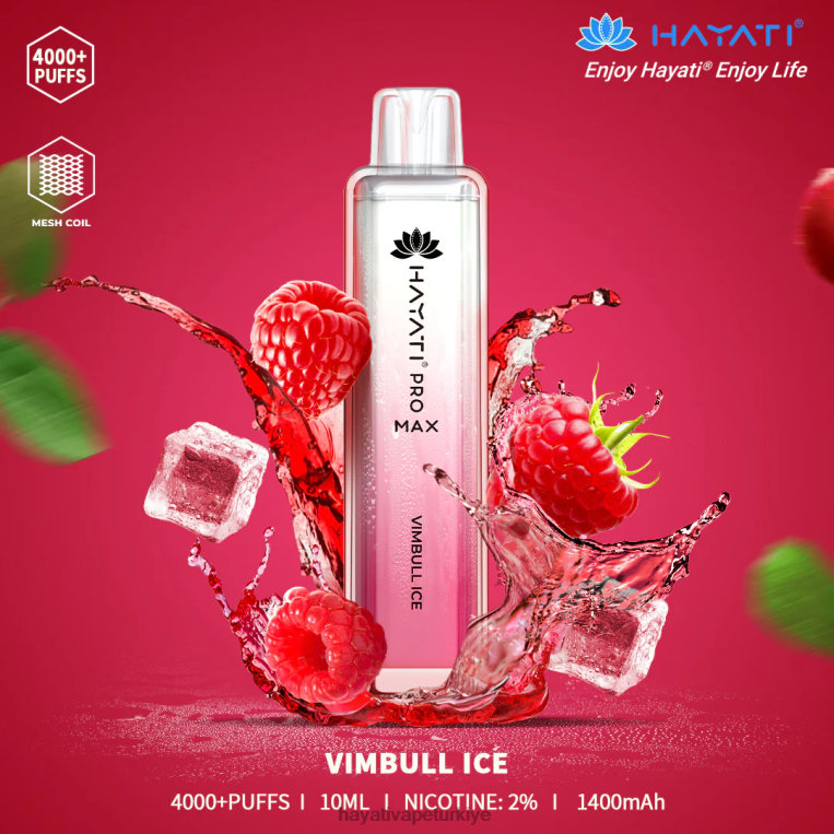 Hayati Pro Max tek kullanımlık 28JJZ126 - Hayati flavour vapes - vimbull buz