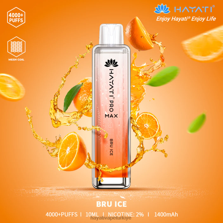 Hayati Pro Max tek kullanımlık 28JJZ130 - Hayati Ankara - dostum buz