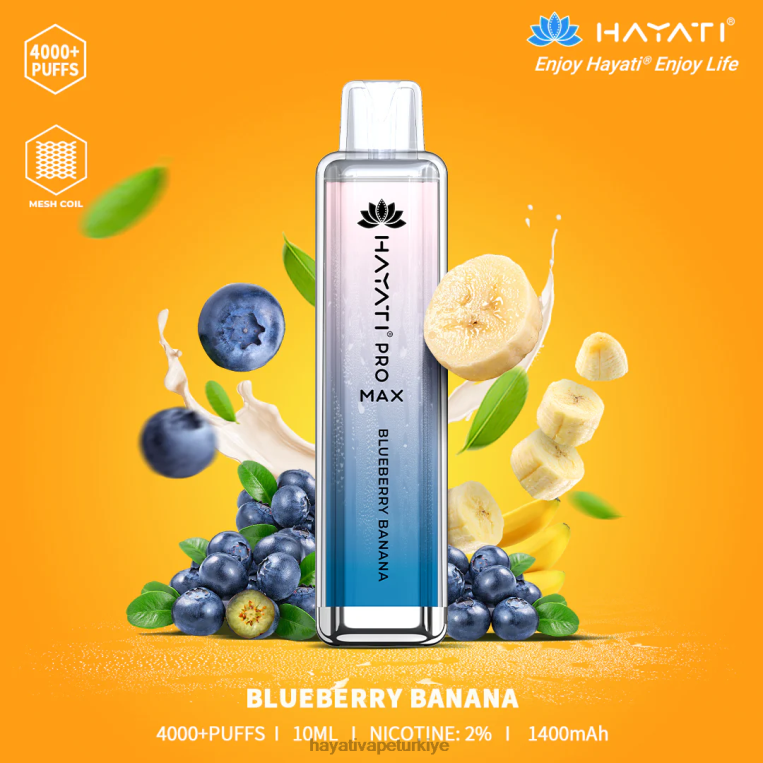 Hayati Pro Max tek kullanımlık 28JJZ138 - Hayati vape company - yaban mersini muz