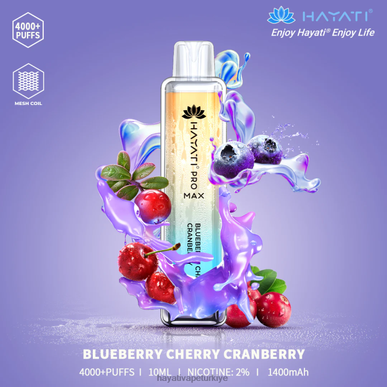 Hayati Pro Max tek kullanımlık 28JJZ97 - Hayati Türkiye - yaban mersini kiraz kızılcık