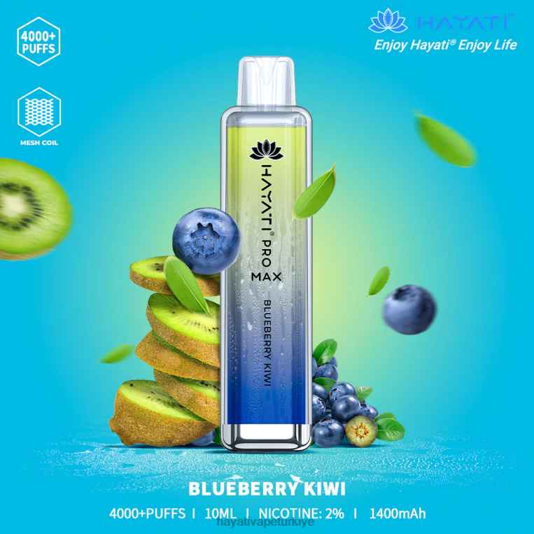 Hayati Pro Max tek kullanımlık 28JJZ98 - Hayati vape company - yaban mersini kivi