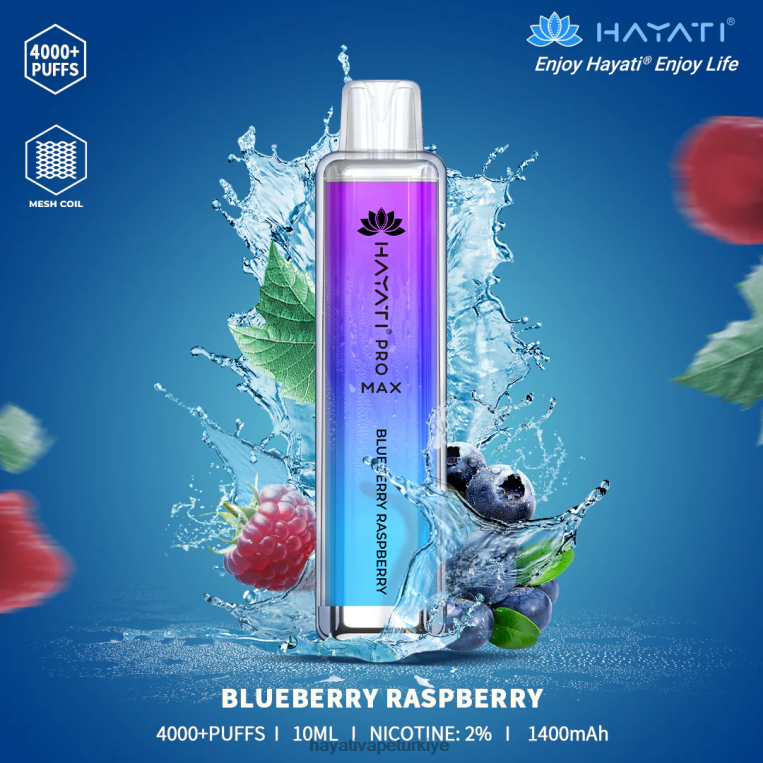 Hayati Pro Max tek kullanımlık 28JJZ99 - Hayati vapes wholesale - yaban mersini ahududu