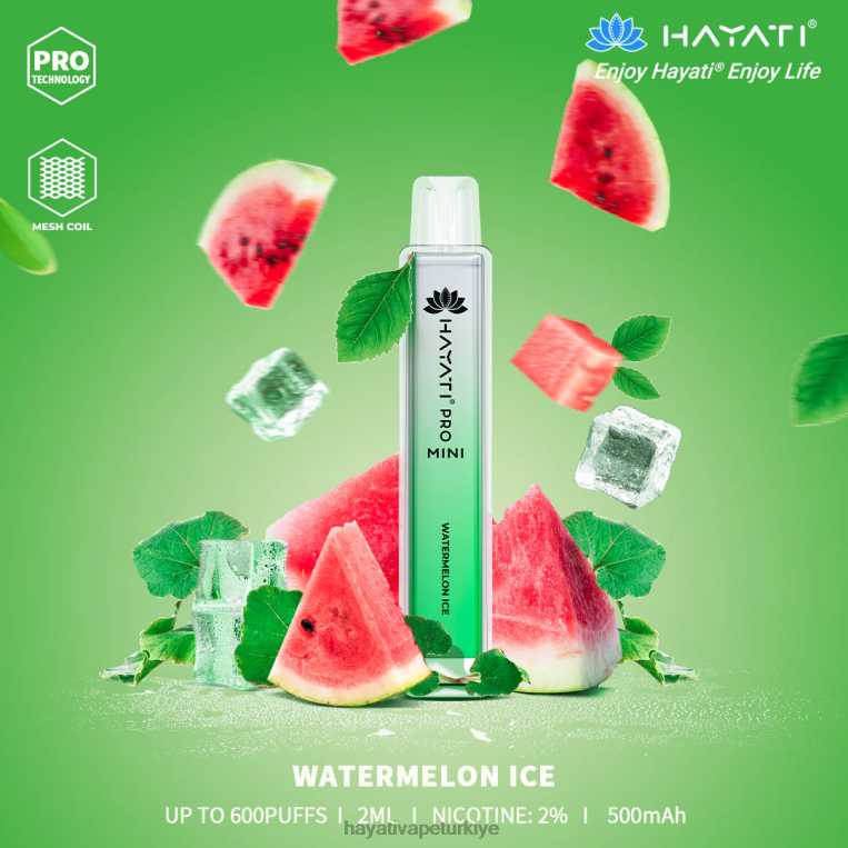 Hayati Pro Mini tek kullanımlık 28JJZ24 - Hayati flavours Türkiye - karpuz buzu