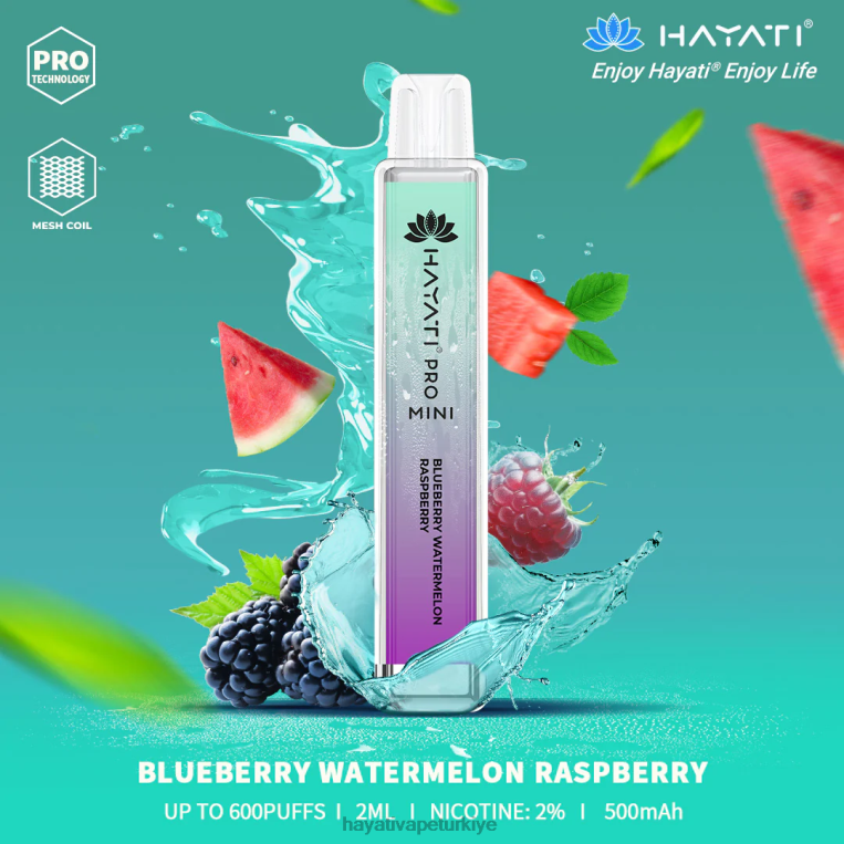 Hayati Pro Mini tek kullanımlık 28JJZ25 - Hayati flavour list - yaban mersini karpuz ahududu